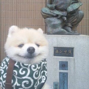 Meet your Posher, Allie